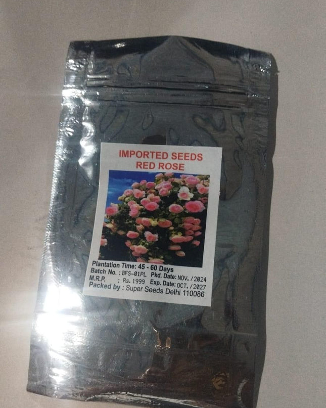 Elegant Climbing Rose Flower Seeds