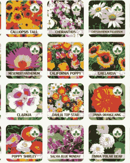 Buy Varieties of Flower Seeds (Pack of 100) And Get Plant Growth Supplement Free