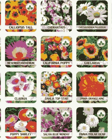 Buy Varieties of Flower Seeds (Pack of 100) And Get Plant Growth Supplement Free